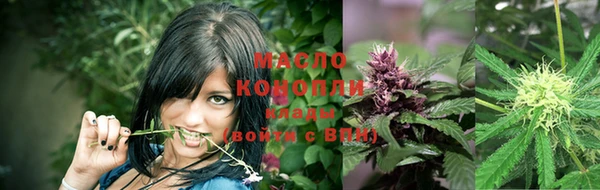каннабис Аркадак